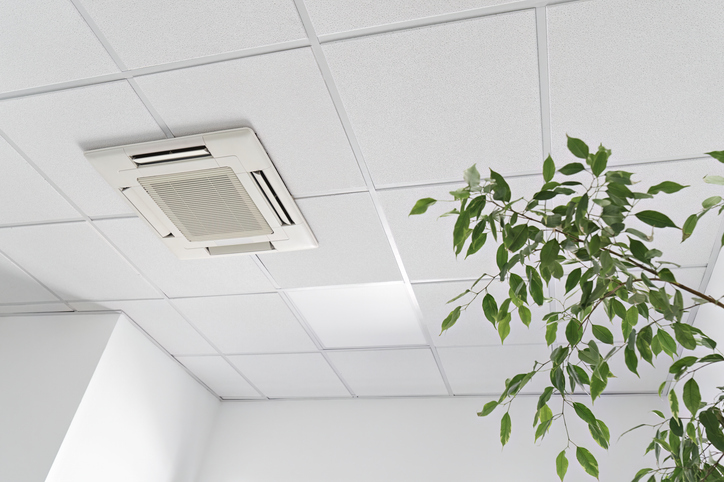 The Role of Indoor Air Quality Experts in Mold Prevention
